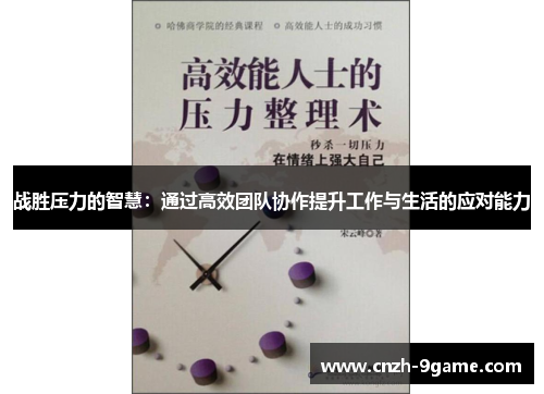 战胜压力的智慧：通过高效团队协作提升工作与生活的应对能力