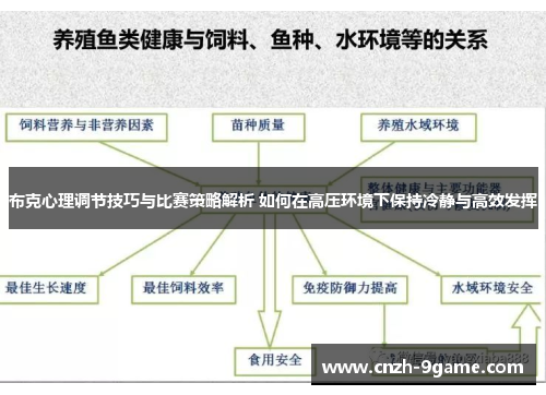 布克心理调节技巧与比赛策略解析 如何在高压环境下保持冷静与高效发挥 布克心理调节技巧与比赛策略解析 如何在高压环境下保持冷静与高效发挥