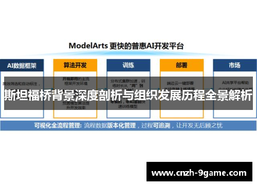 斯坦福桥背景深度剖析与组织发展历程全景解析 斯坦福桥背景深度剖析与组织发展历程全景解析