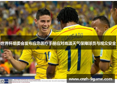 世界杯组委会发布应急医疗手册应对高温天气保障球员与观众安全 世界杯组委会发布应急医疗手册应对高温天气保障球员与观众安全